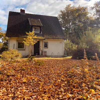 2025 10 19 goodbye web