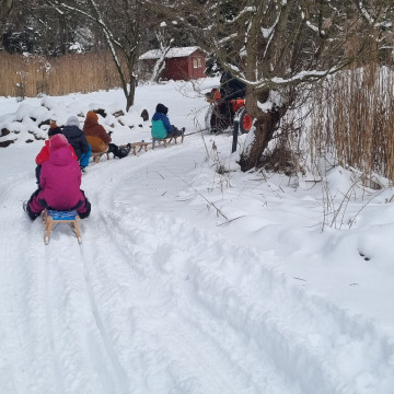2026 01 09 KursimSchnee1